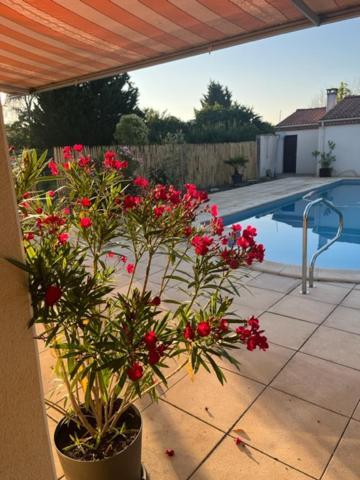 Les Voyages De Louison Bed and Breakfast Lavardac Buitenkant foto
